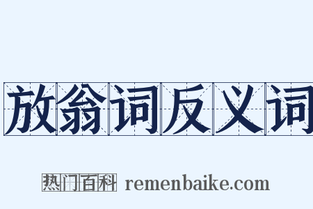 放翁词反义词是什么意思的图片